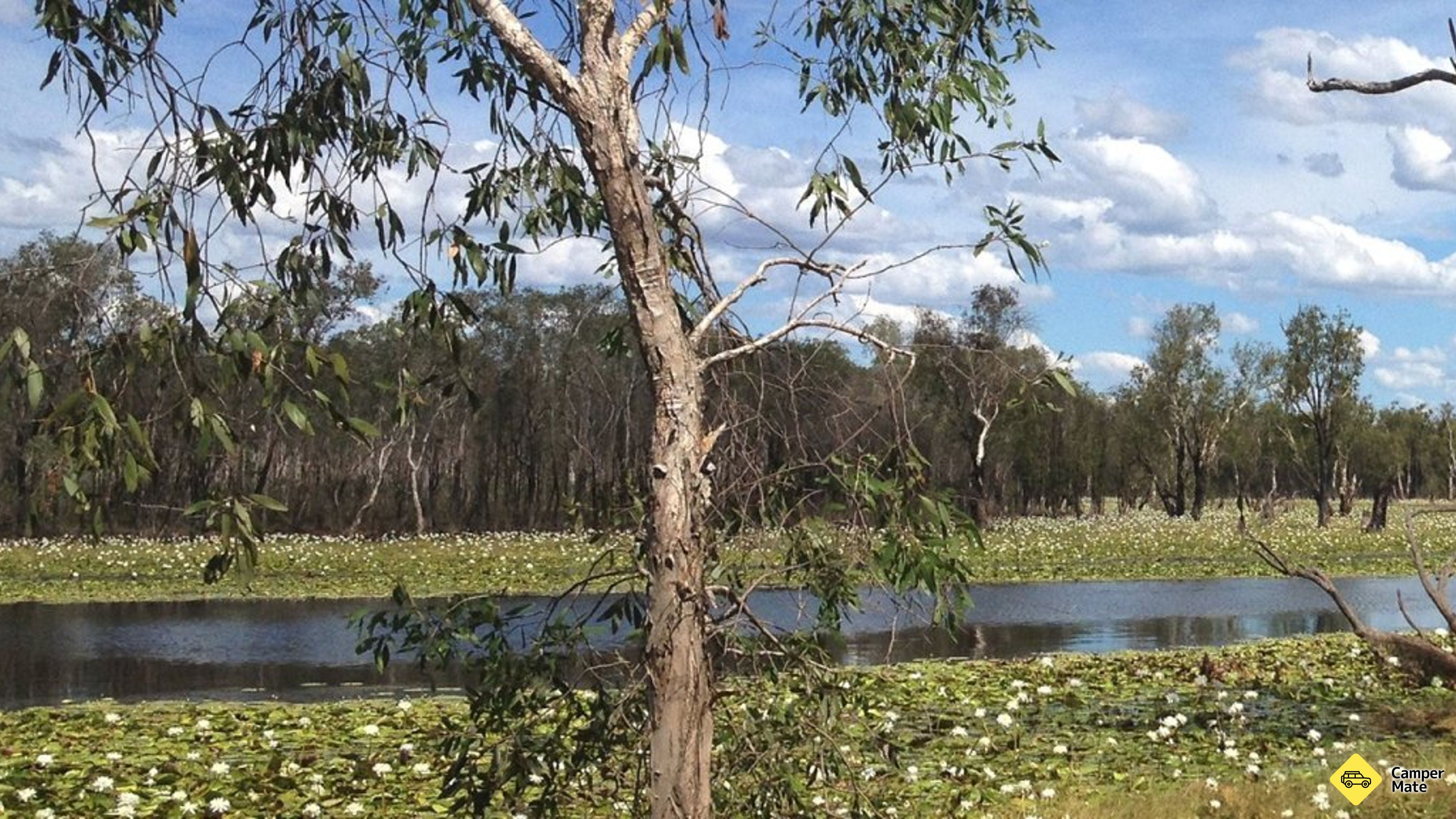 Sandy Billabong Camping Area