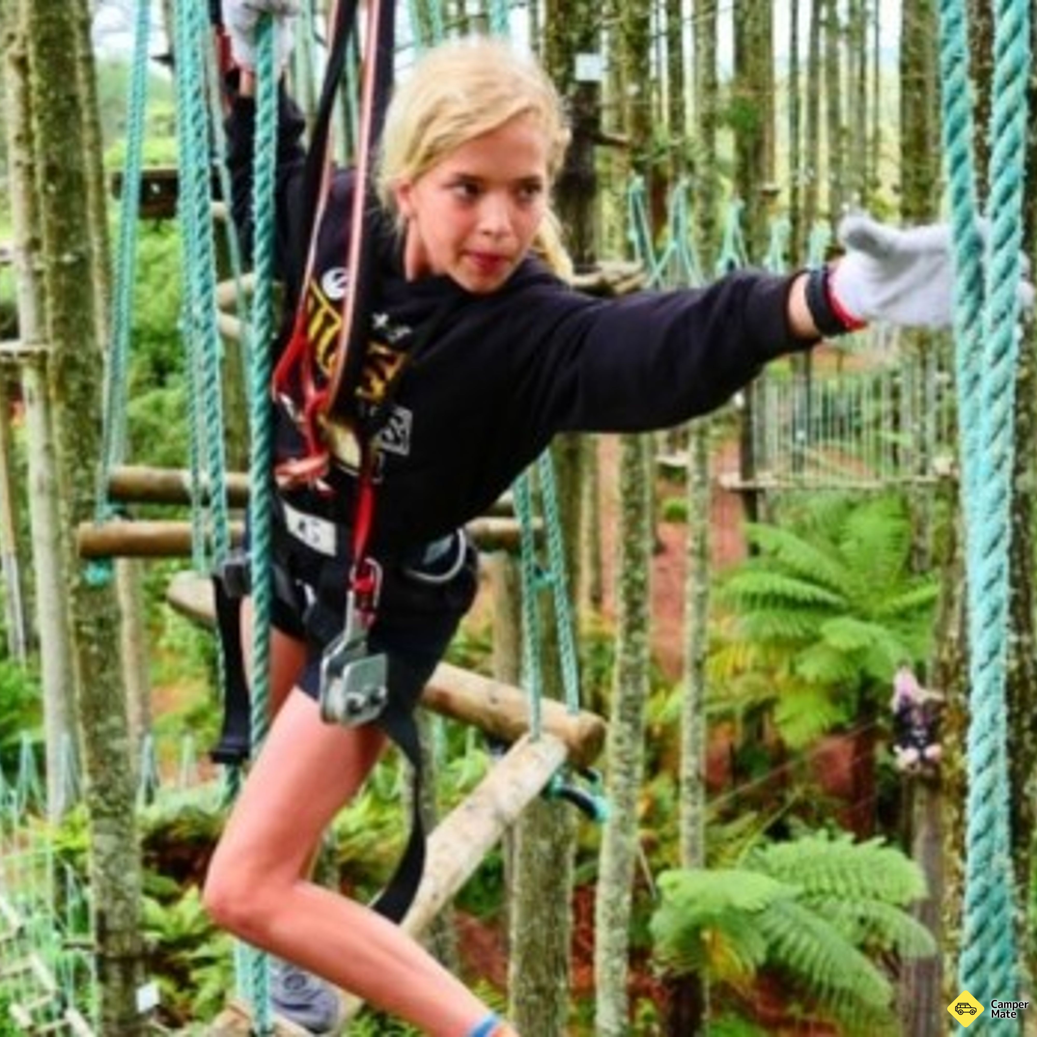 Adrenalin Forest - Christchurch - Image 2