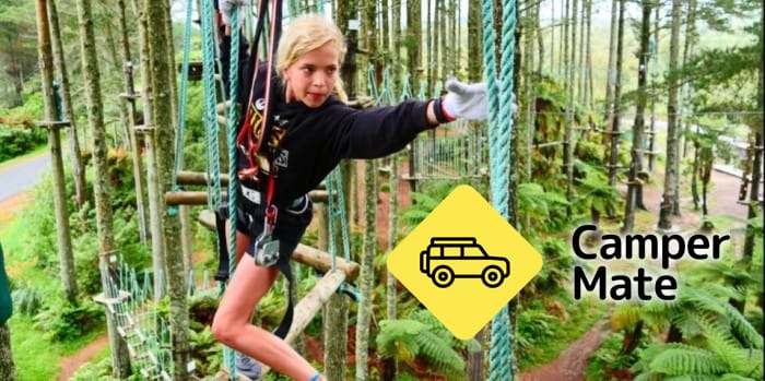 Adrenalin Forest - Christchurch - Image 2