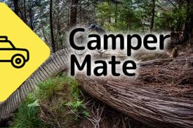 Wairoa Mountain Bike Park - Image 2