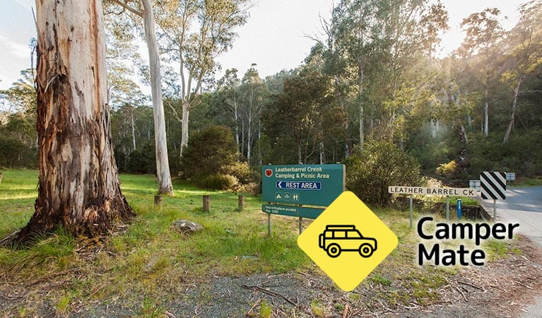 Leatherbarrel Creek Campground 근처 오락거리