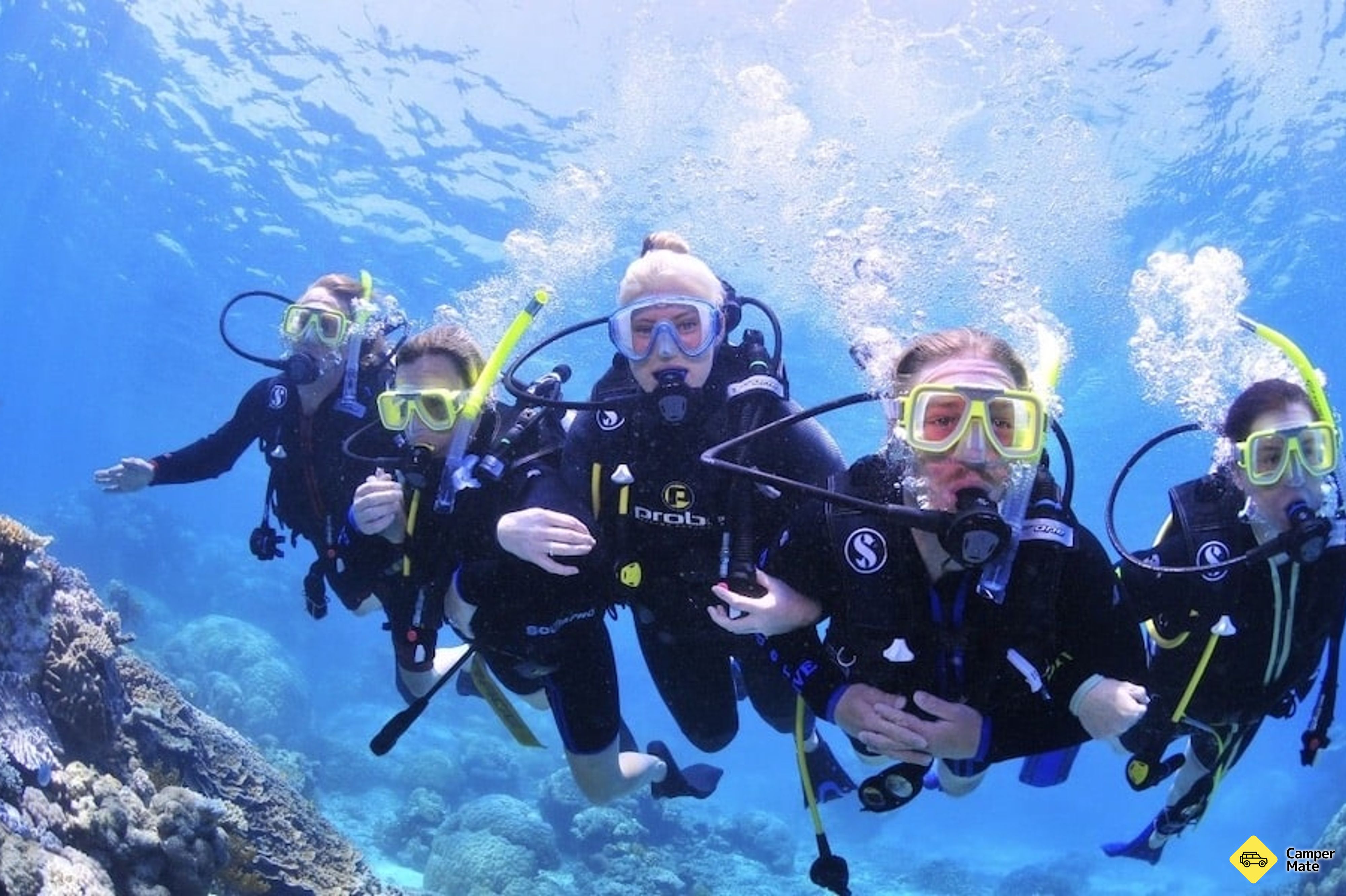 Great Barrier Reef Dive and Snorkel Cruise के बारे में टिप्पणियाँ - Image 3