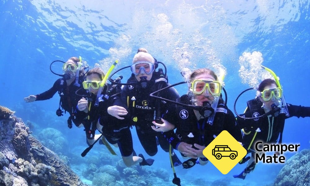 Great Barrier Reef Dive et Snorkel Cruise - Image 3