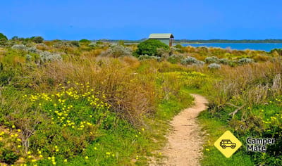 Jacks Point Pelican Observatory Walk