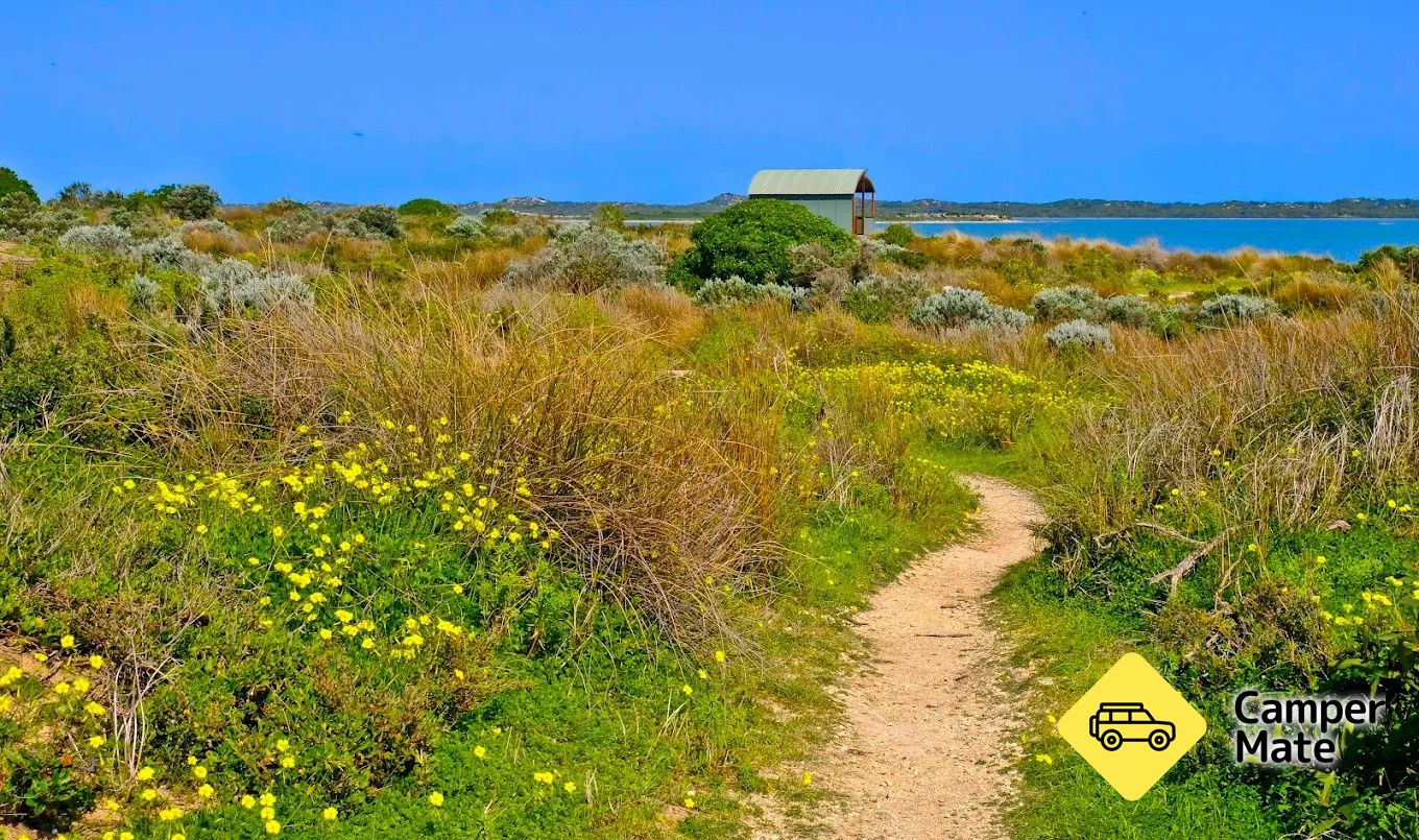 Jacks Point Pelican Observatory Walk