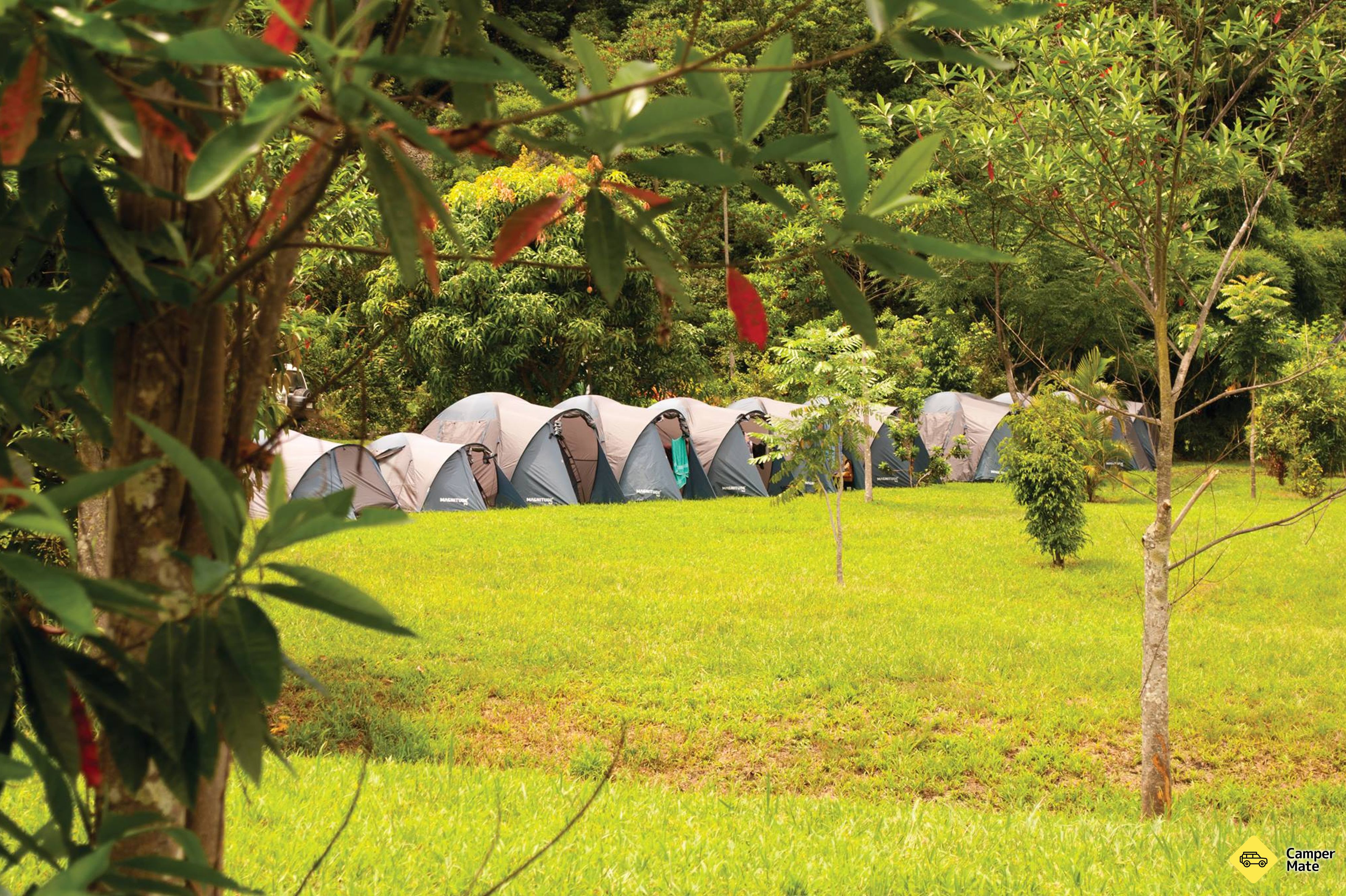 bijfield campstay - Image 2