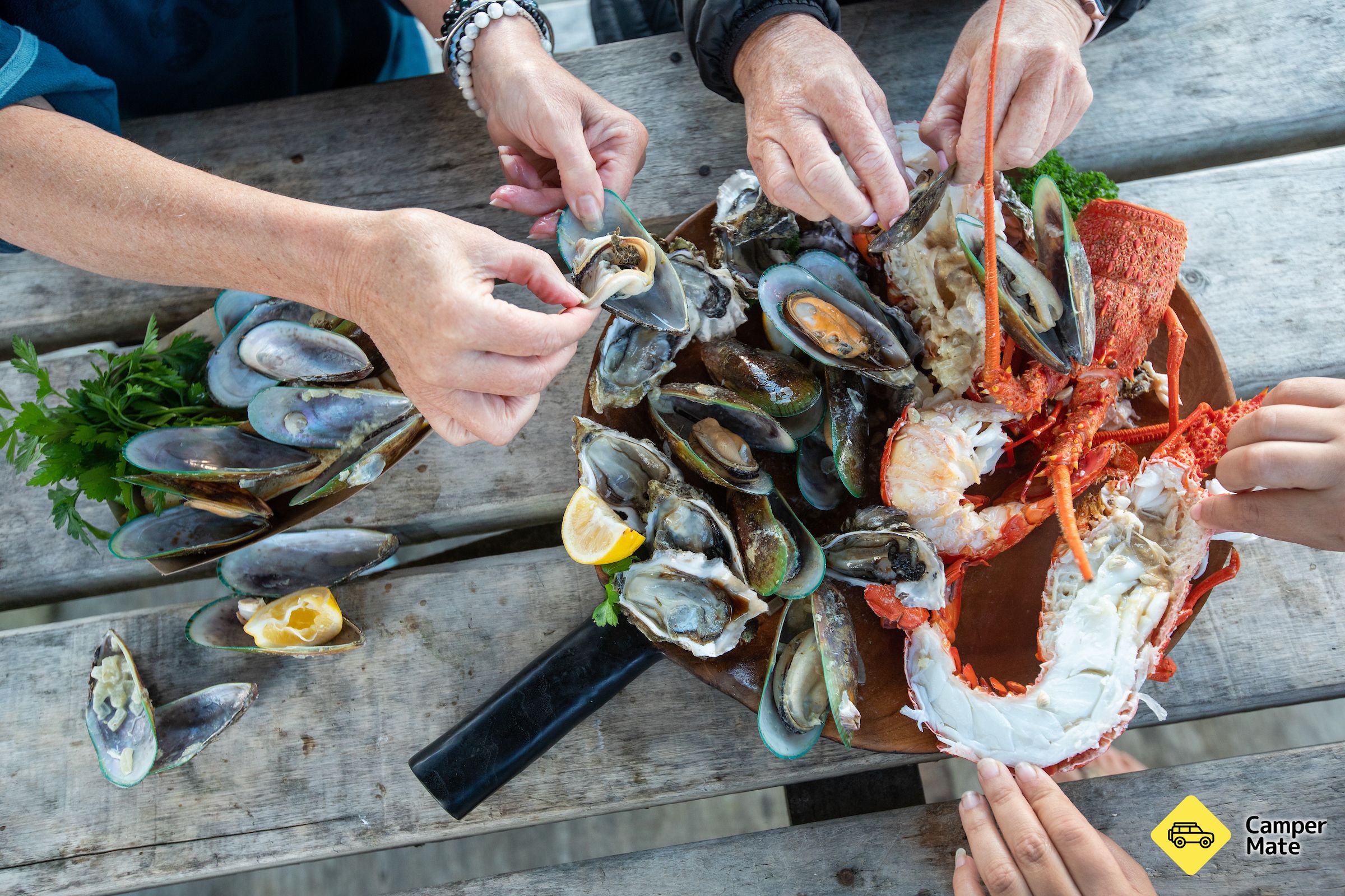 Coromandel Oyster Company Limited - Image 2