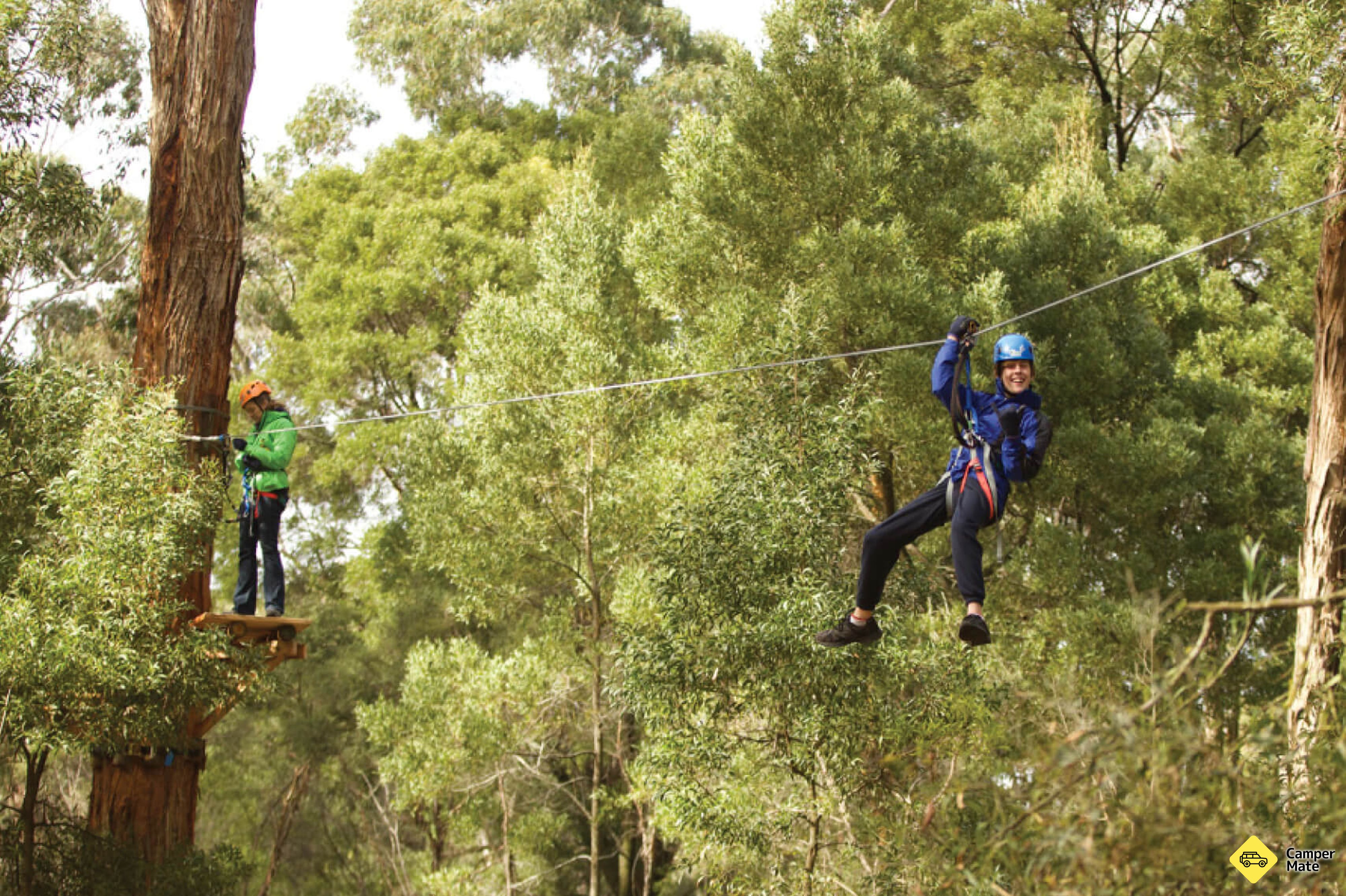 Aventuras de Treetops Yeodene - Image 2