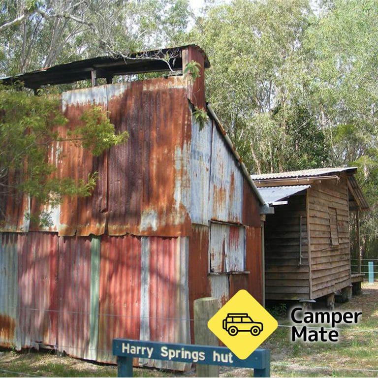 Harry's Hut Campground - Image 3