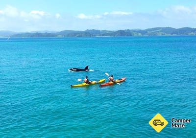 Bay of Islands Kayaking