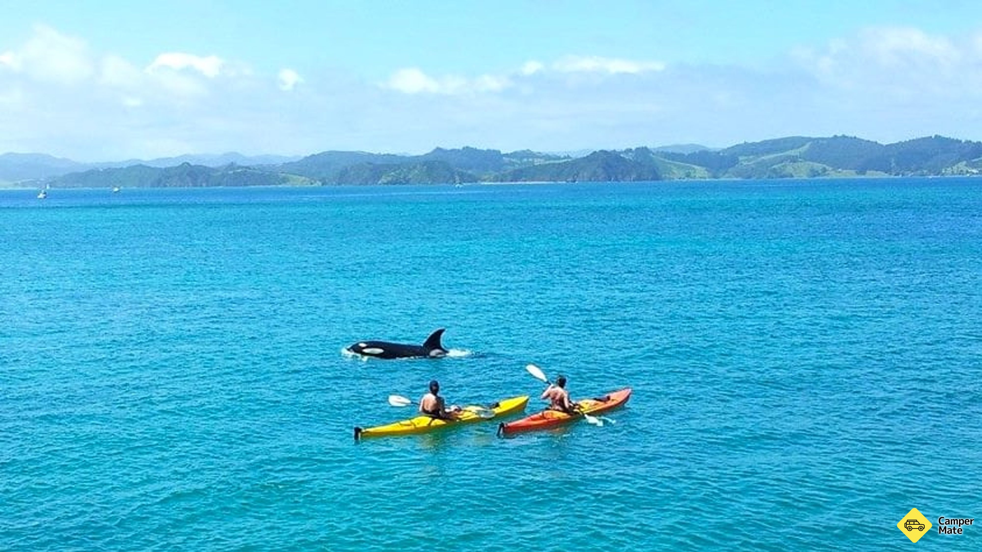Zátoka ostrovů Kayaking