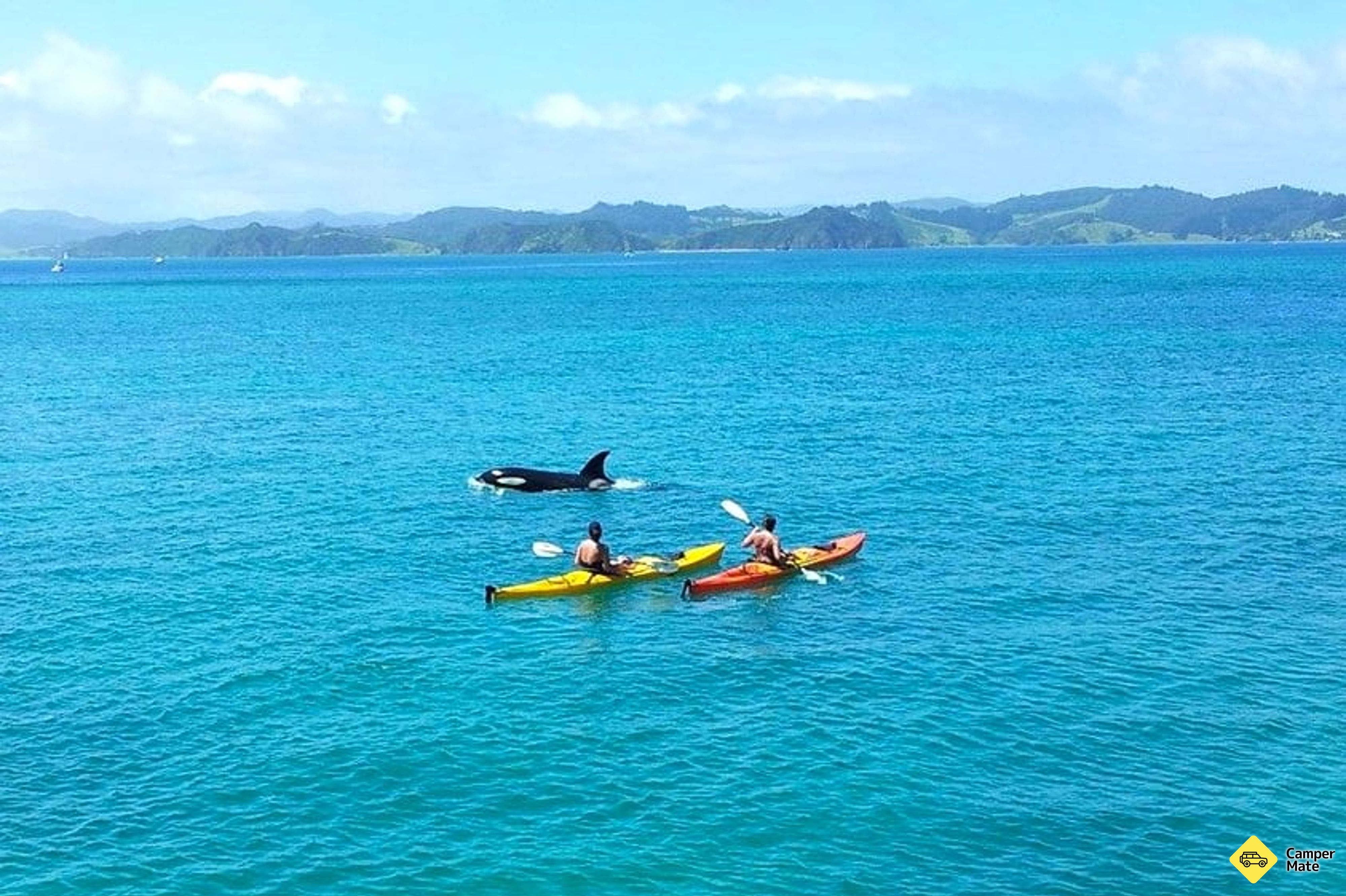 Zátoka ostrovů Kayaking