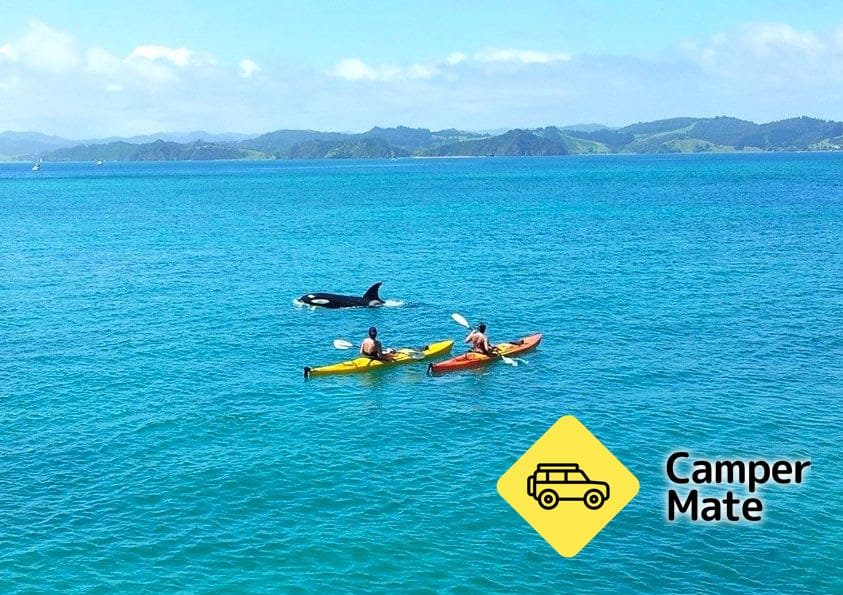 Bay of Islands Kayaking