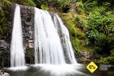 Ryde Falls Track
