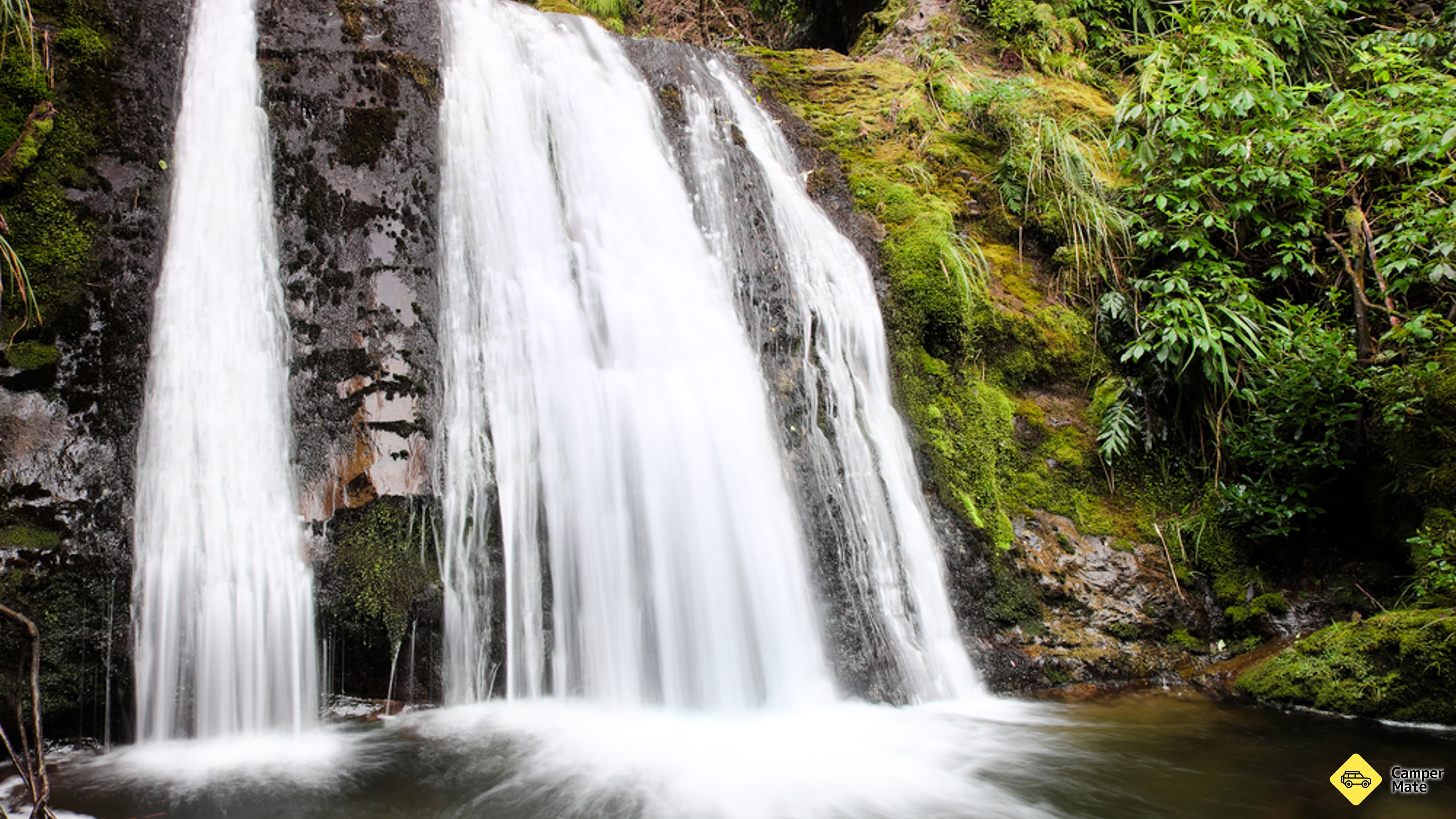 Ryde Falls Track