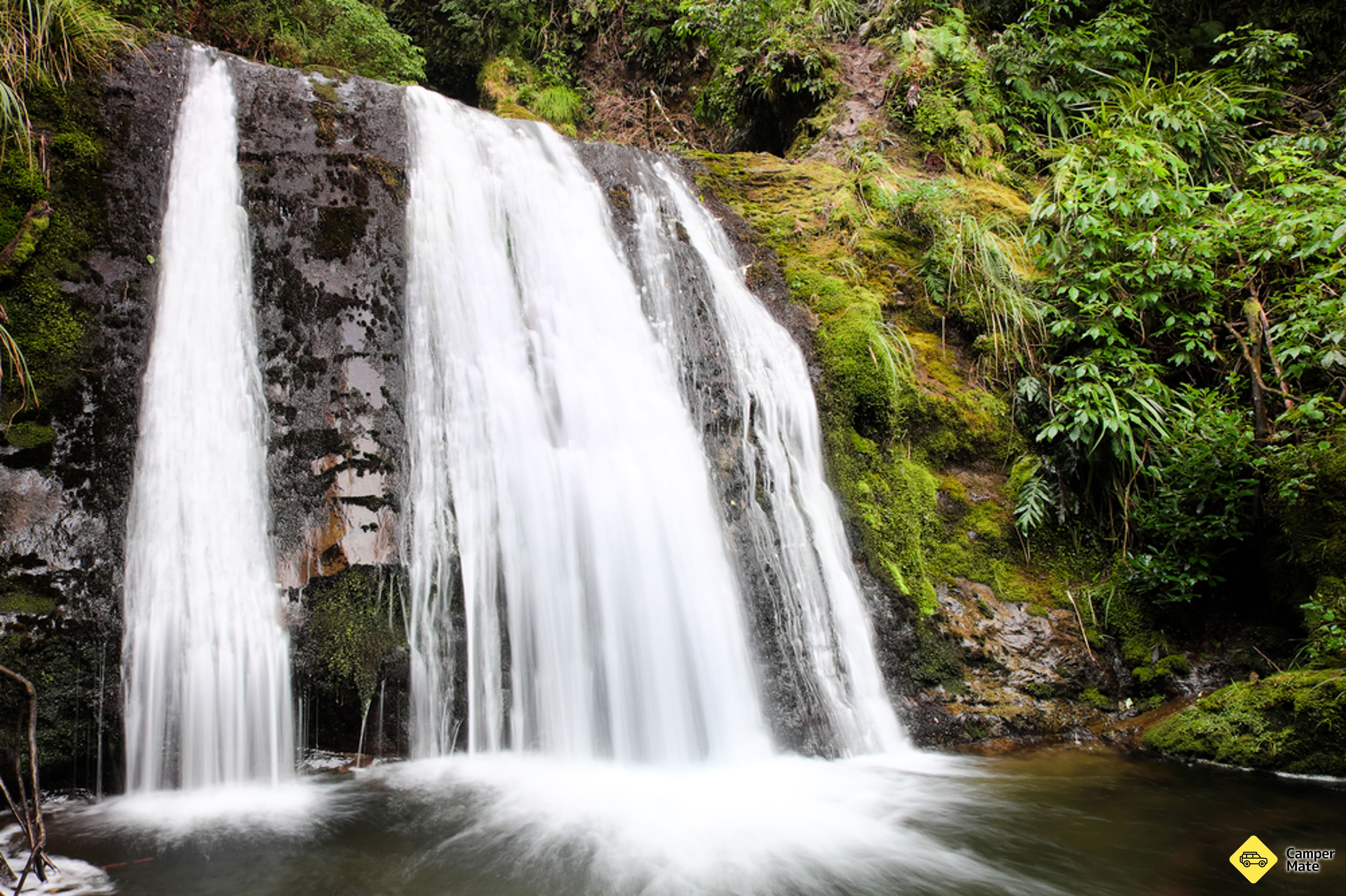 Ryde Falls Track