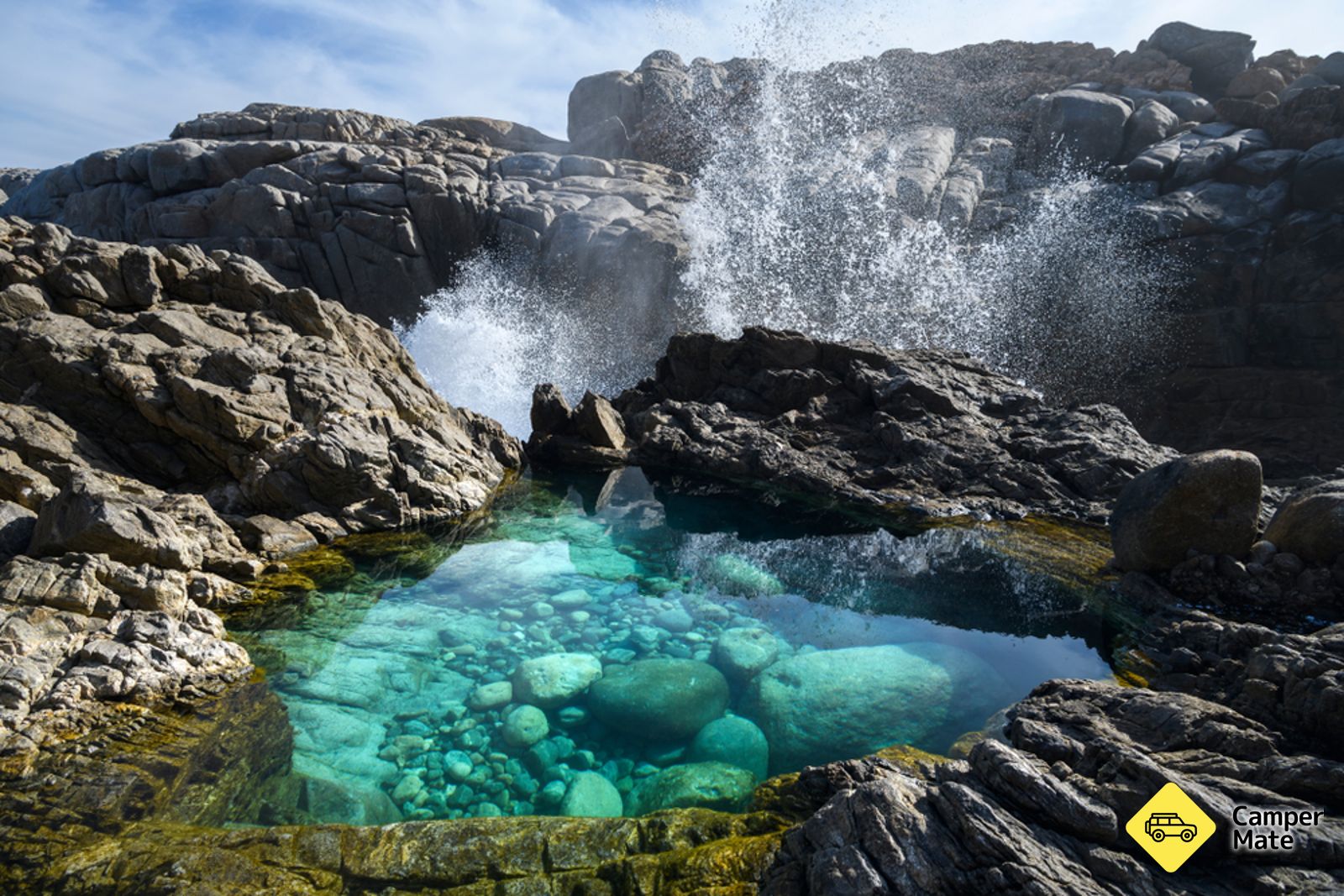 Baleen Rockpool