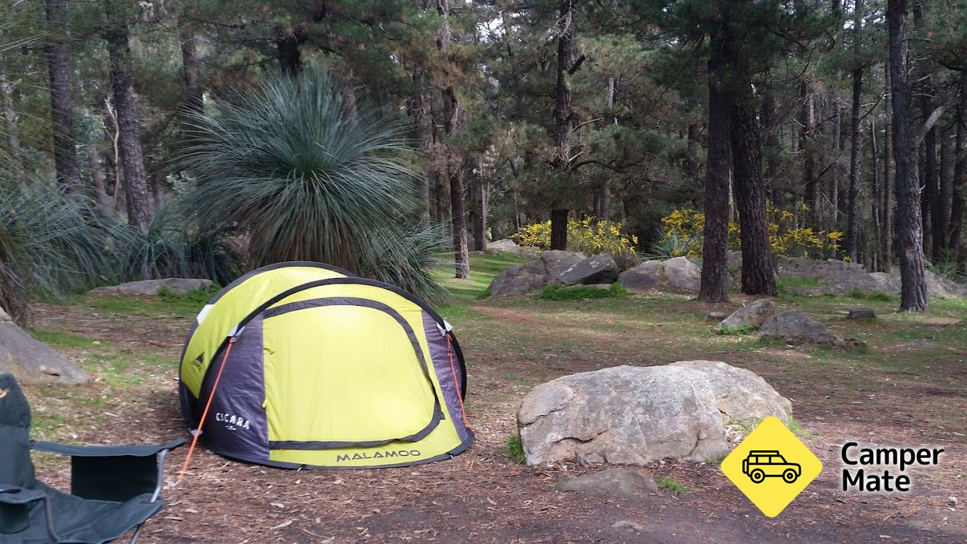 מחנה רוקי פדוק Rocky Paddock Campground