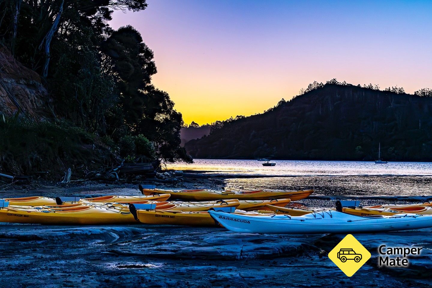 Auckland Bioluminescence Kayak Tour - Image 3