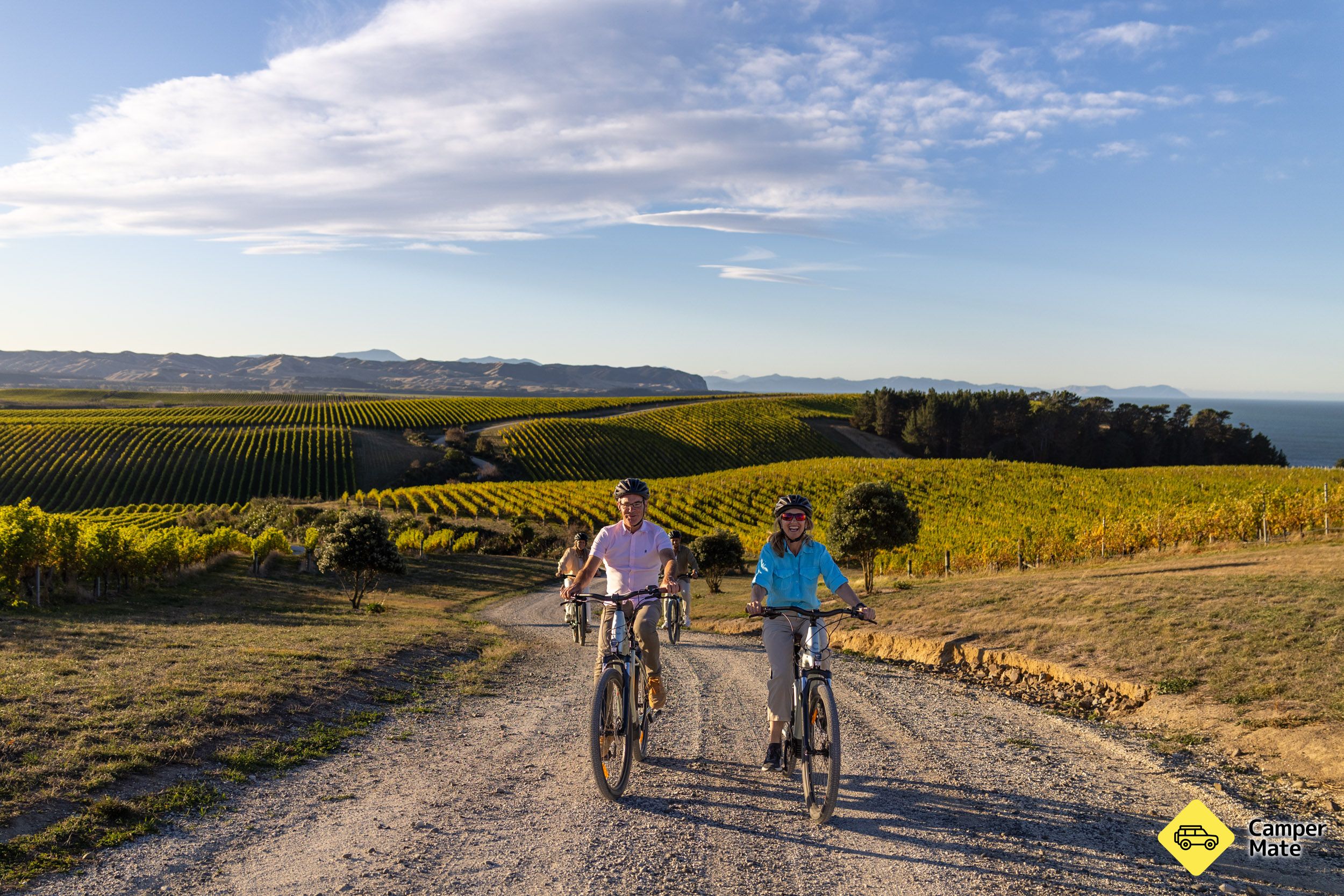 Αυτο-οδηγούμενη ποδηλασία Wine Tours Marlborough - Image 2