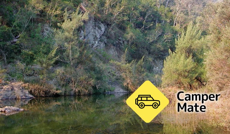 Doon Goonge Campground - Image 3