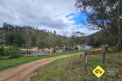 Native Dog Reserve