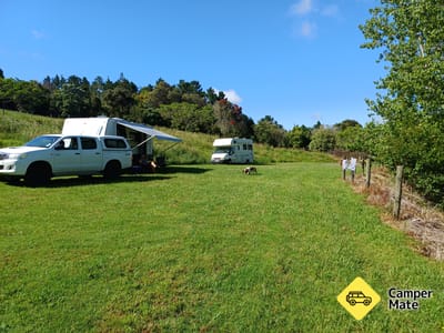 حديقة Kaipara و حديقة النخيل
