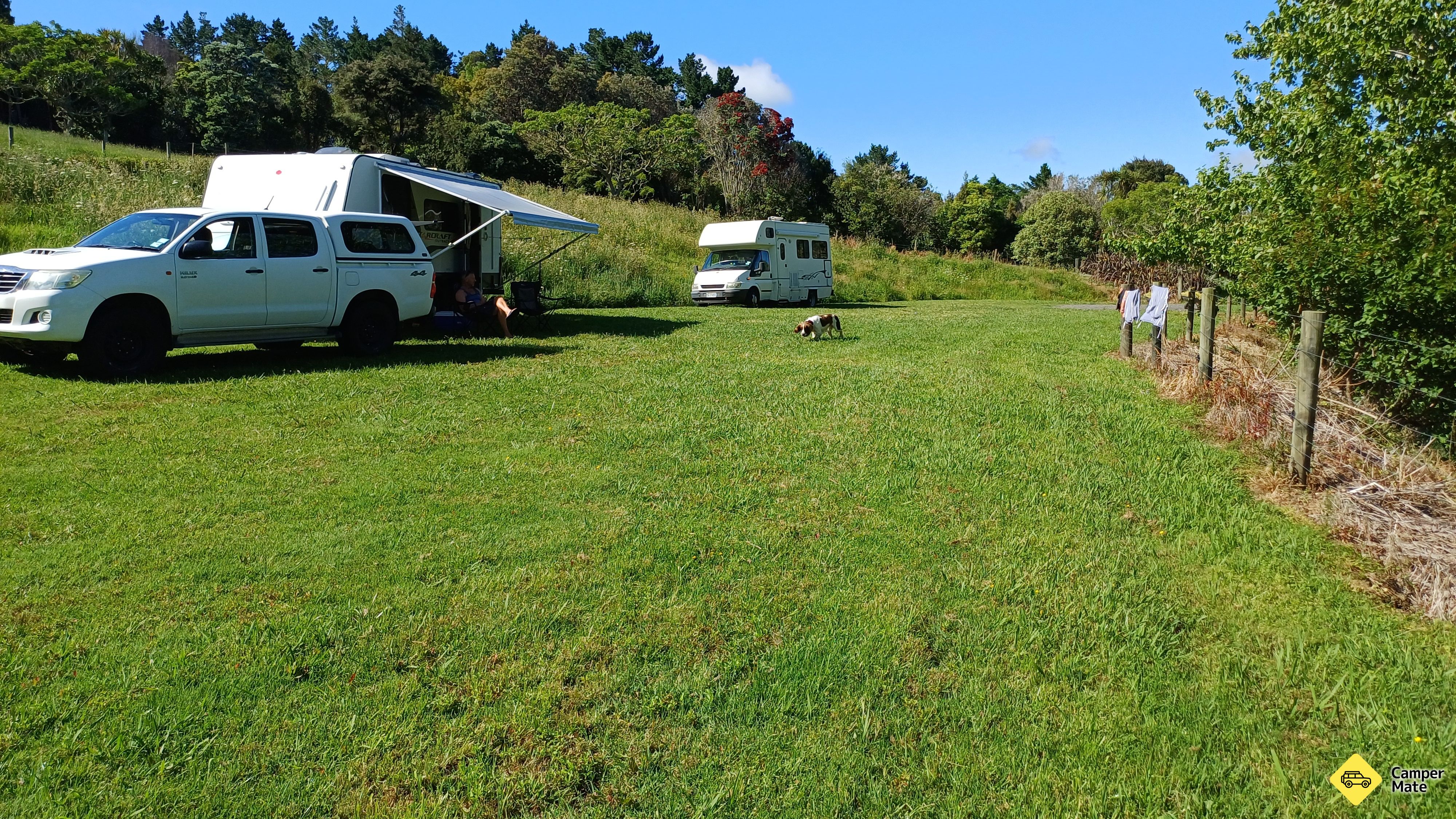 حديقة Kaipara و حديقة النخيل