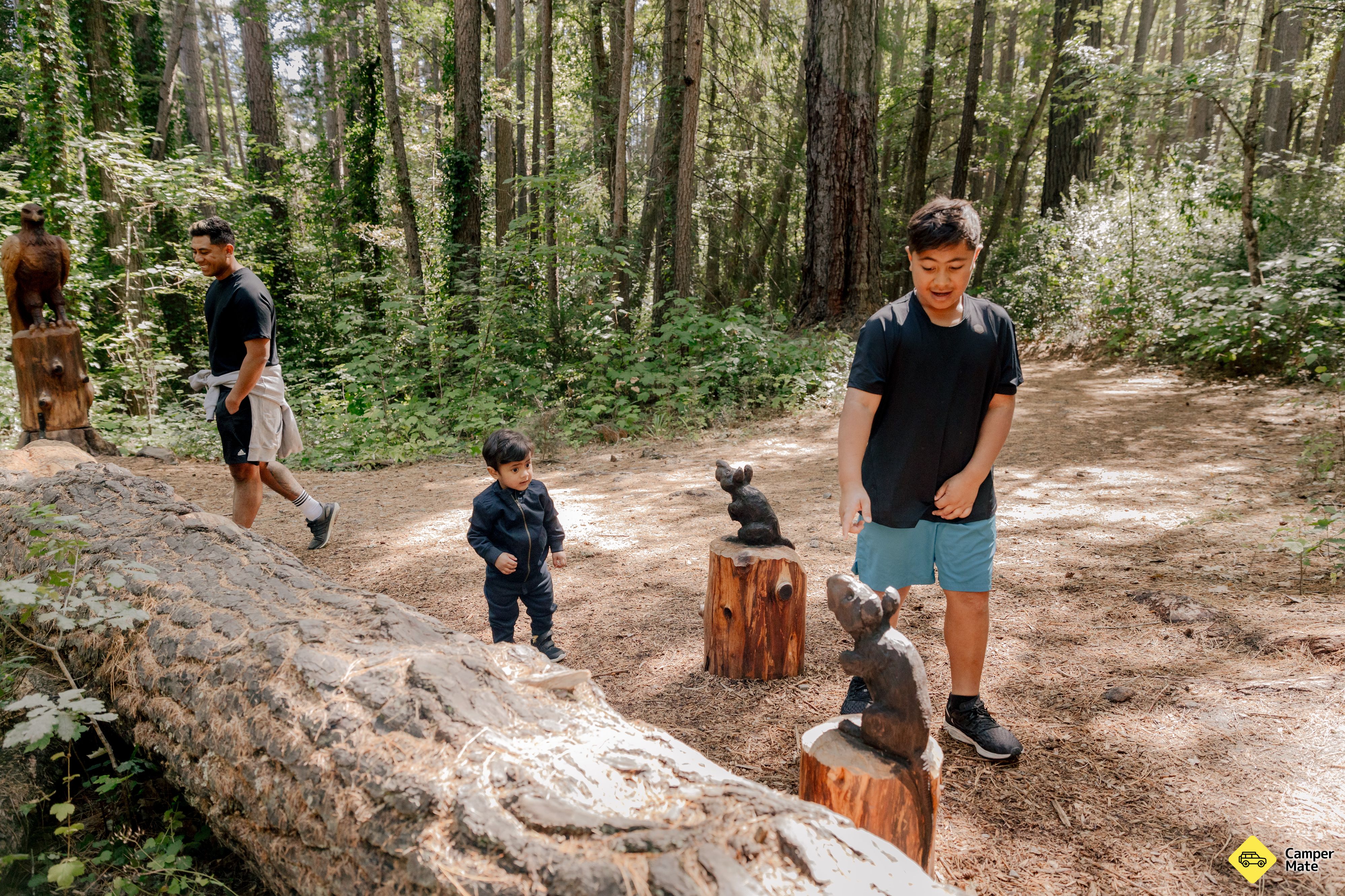 Parcours de la sculpture de Forest Amble - Image 2