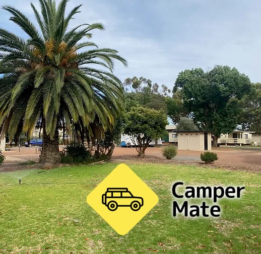 Griffith Tourist Caravan Park - Image 2