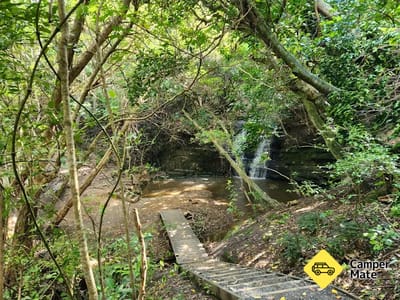 Waterfall Gully Glowworm Walk