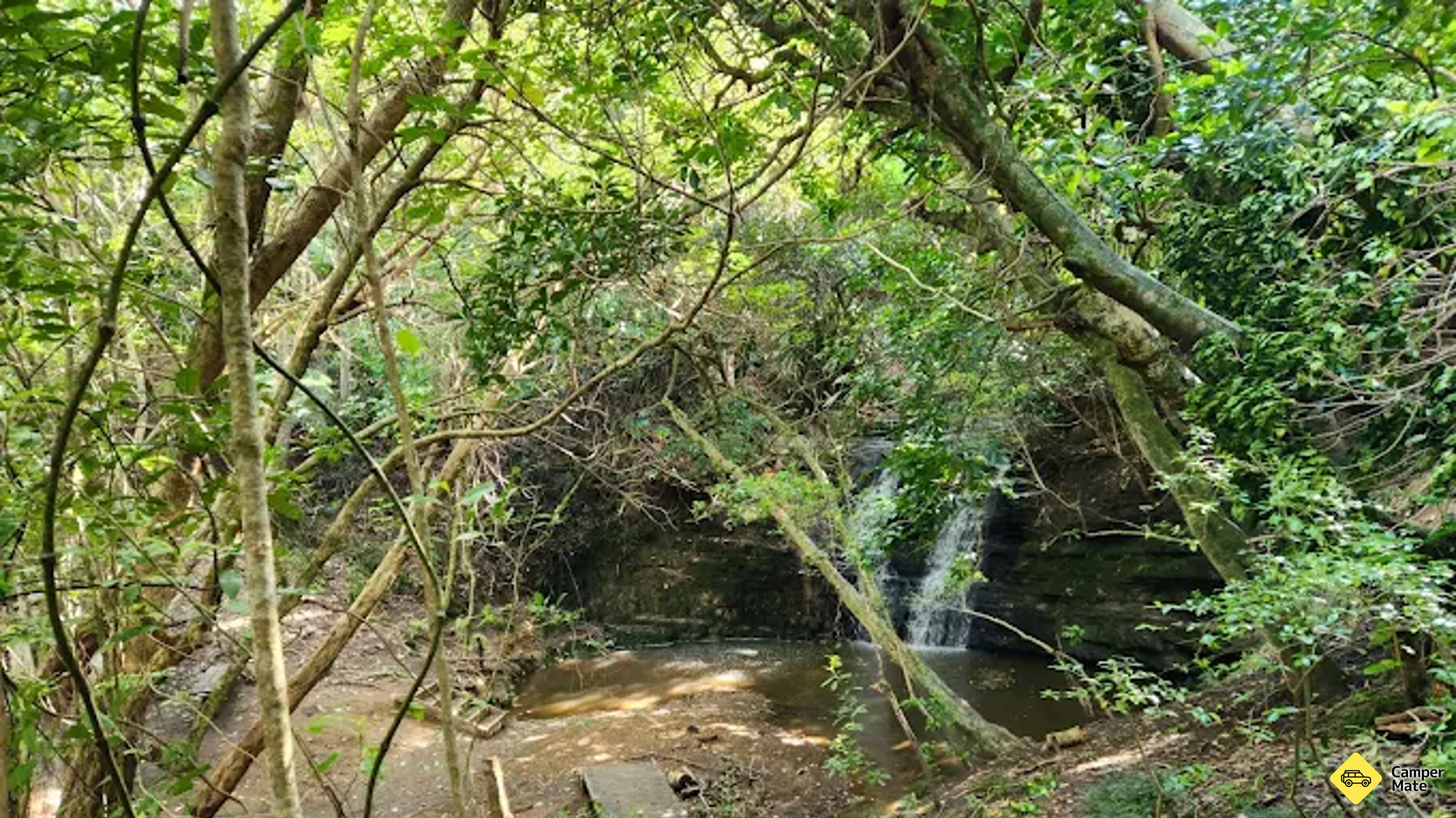 Waterfall Gully Glowworm Walk 근처 오락거리