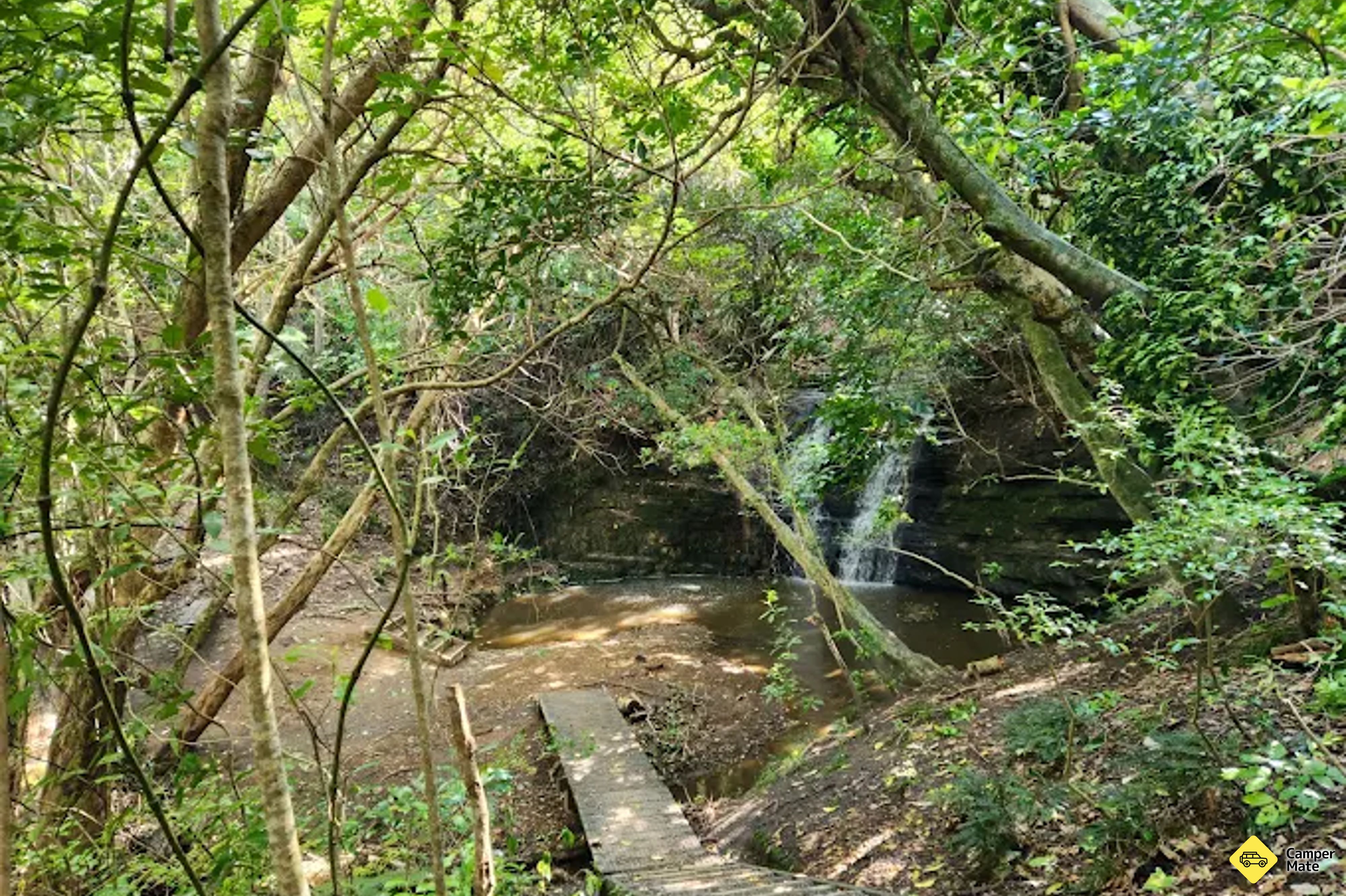 Voyage à Waterfall Gully Glowworm