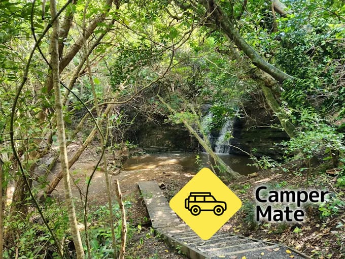 Waterfall Gully Glowworm Walk