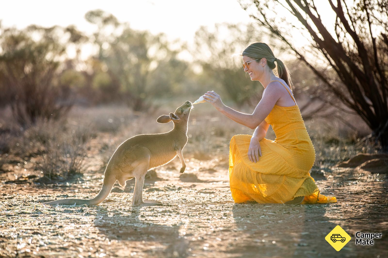 The Kangaroo Sanctuary