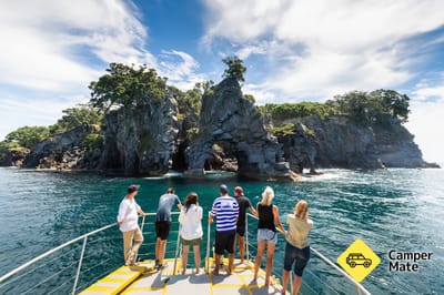 Moutohora Island Sanctuary Tours