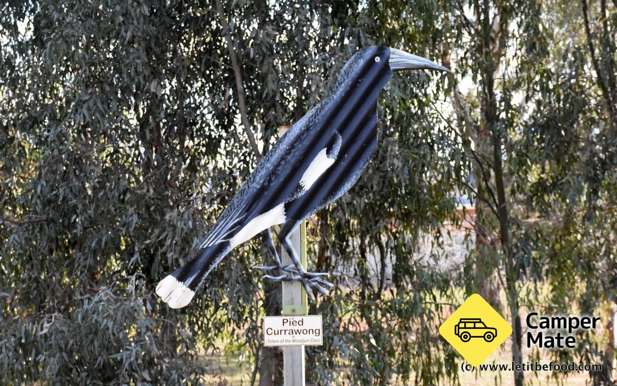 Cootamundra vogelwandeling - Image 3