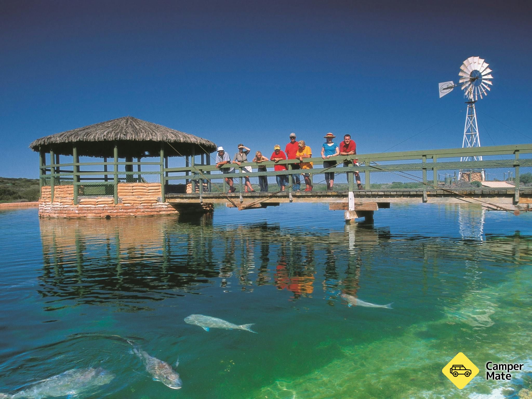 Ocean Park Aquarium - Image 3