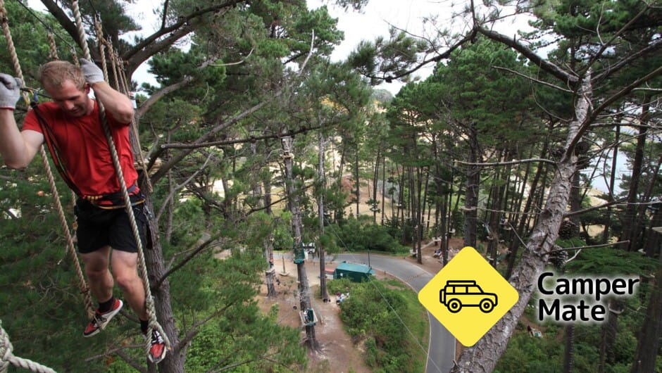 Adrenalin Forest - Wellington - Image 2