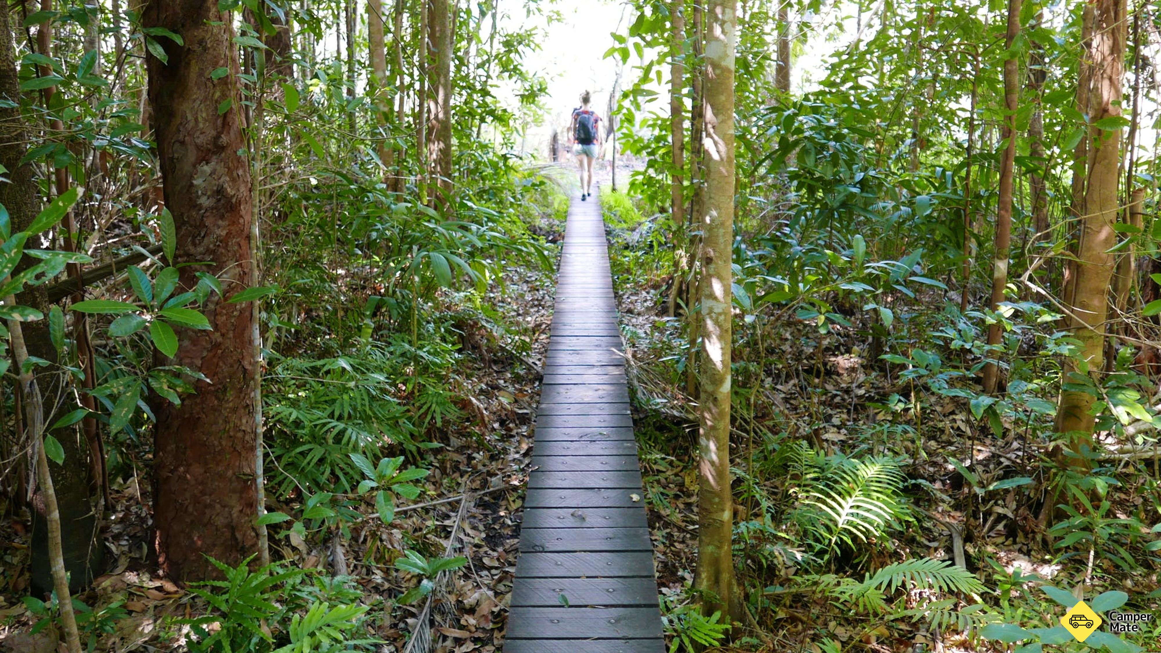 Walker Creek Walk