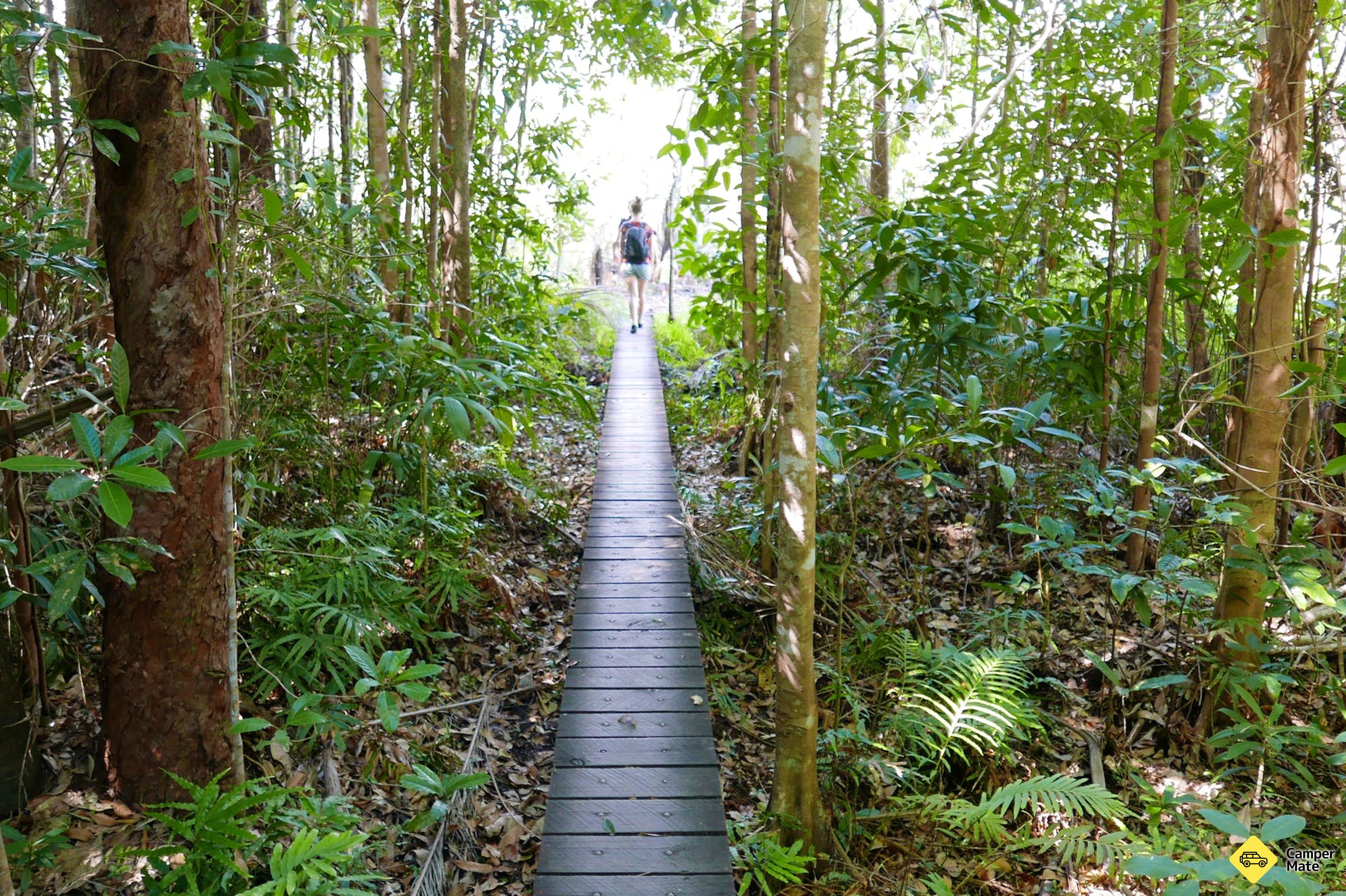 Walker Creek Walk