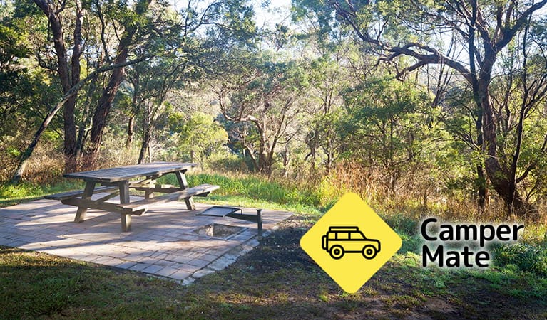 Tia Falls Campground - Image 2