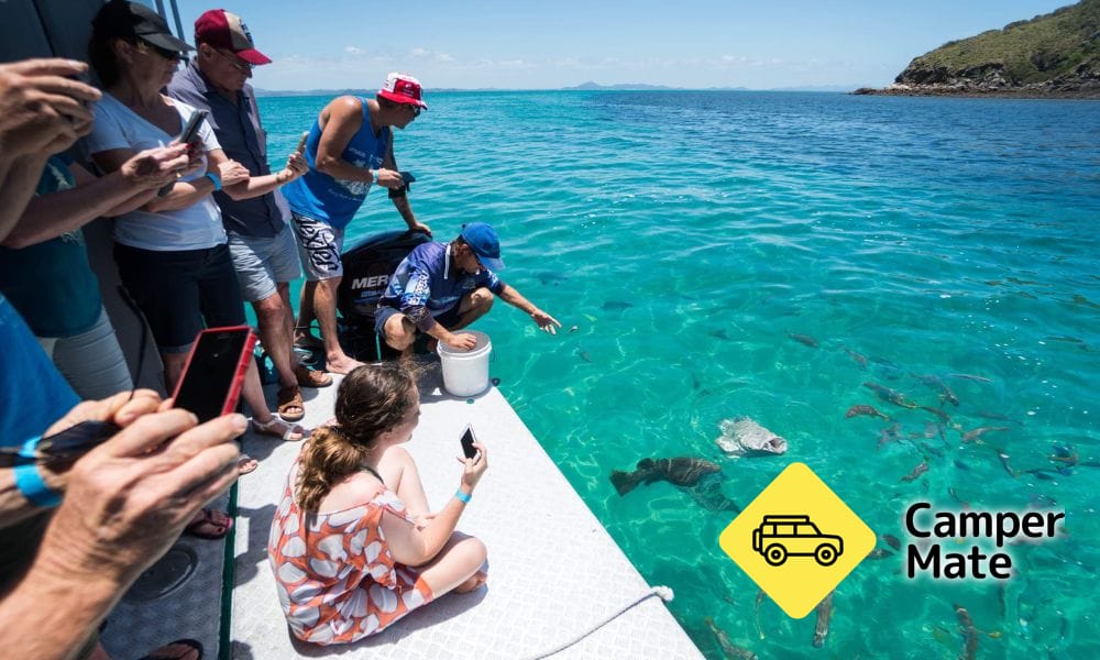 Great Keppel Glass Bottom Boat Tour - Image 3