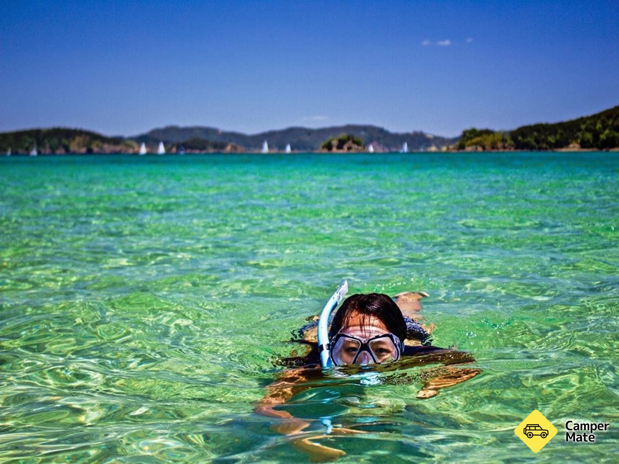 Bay of Islands Kayaking - Image 2