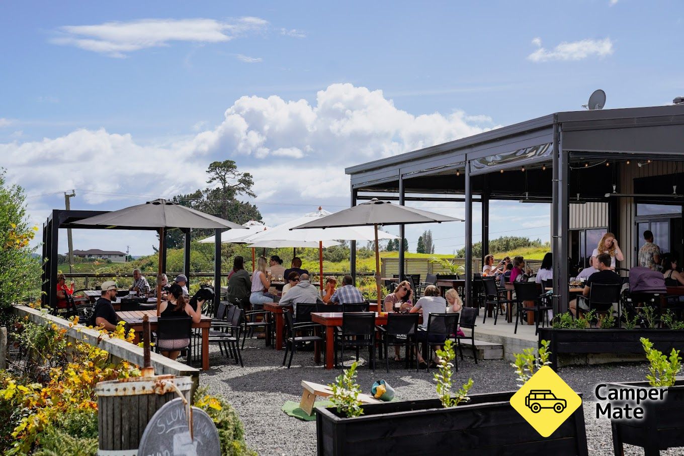 Coastal Bay of Plenty Food and Beverage Highlights
