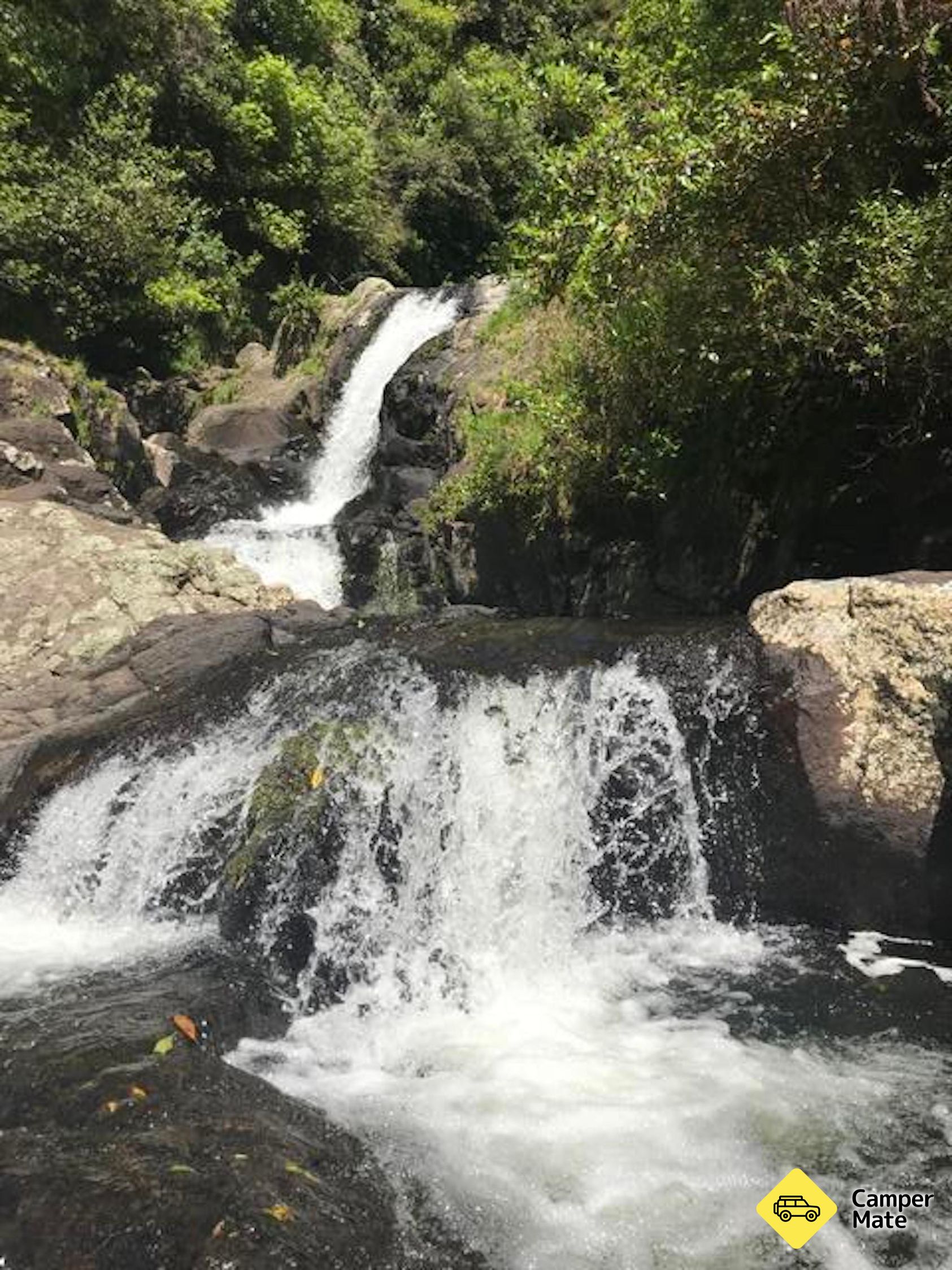 Rerekawau Falls Track