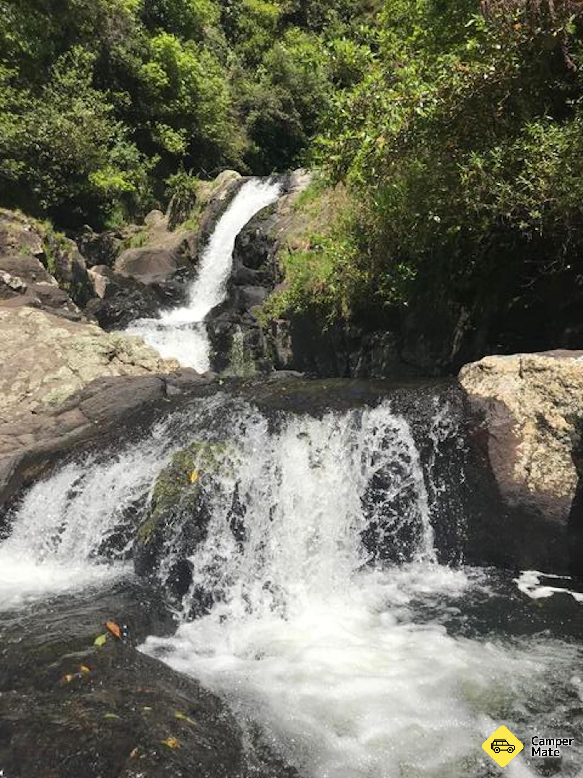 Rerekawau Falls Track