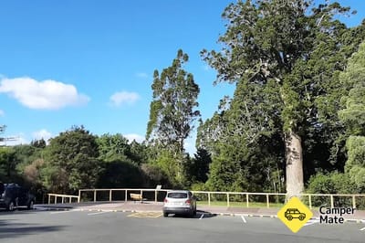 Parry Kauri Park
