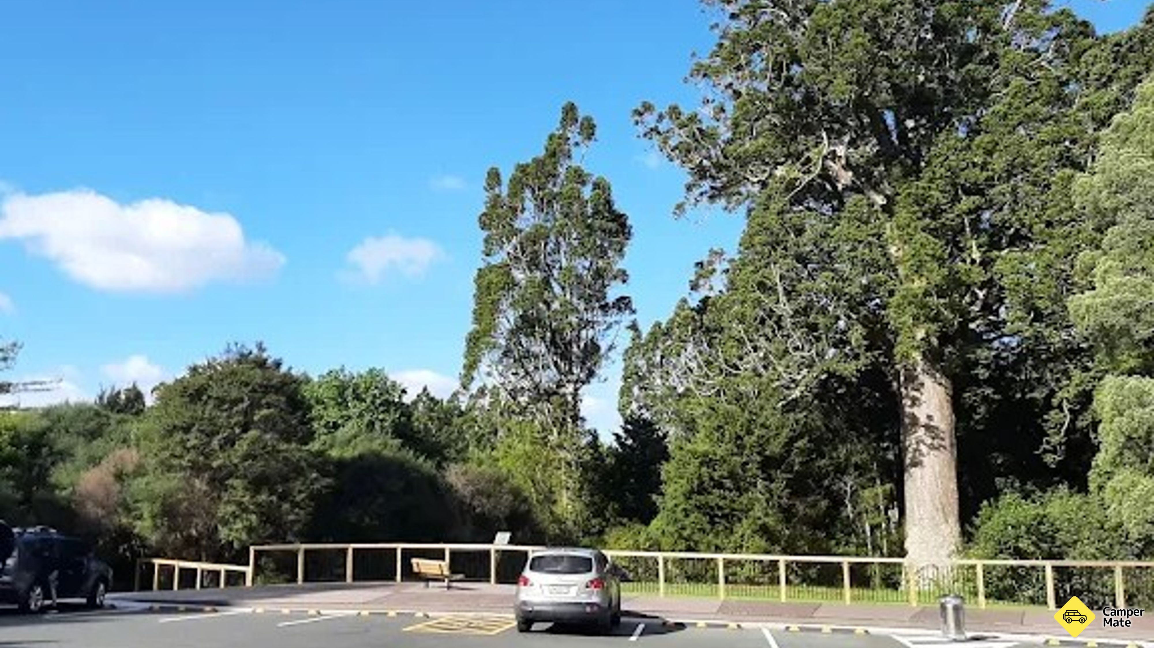 Parry Kauri Park