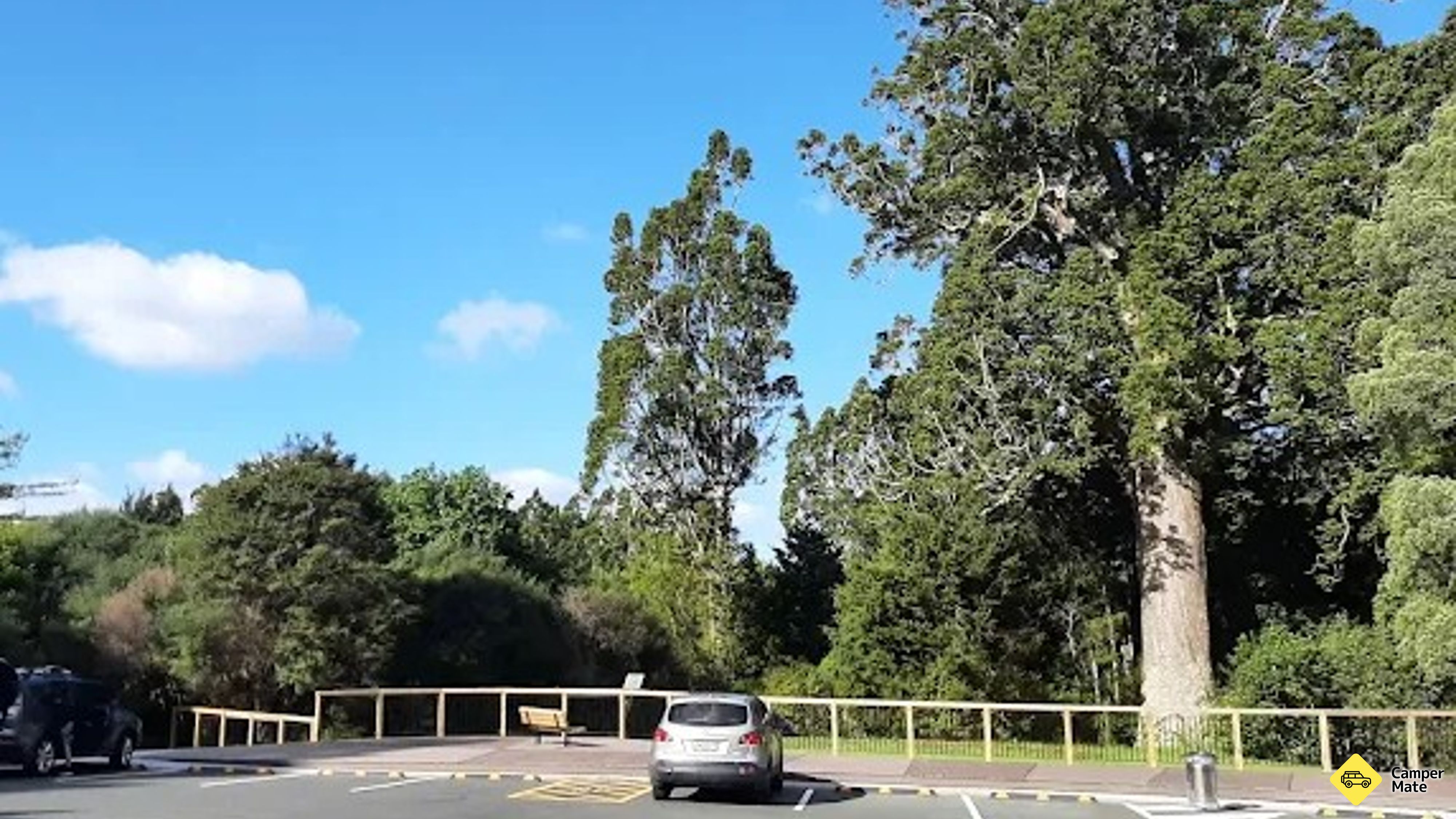 Parry Kauri Park